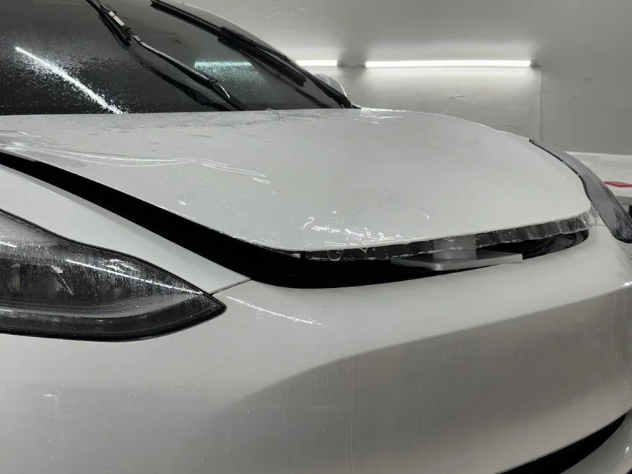 Paint protection film near St. Petersburg, FL